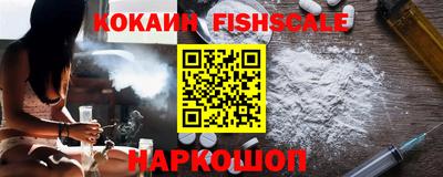 spice Кингисепп