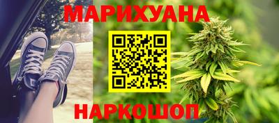 spice Кингисепп