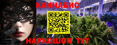 spice Кингисепп