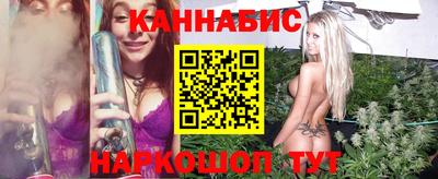 spice Кингисепп