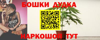 спиды Кимры