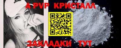 spice Кингисепп