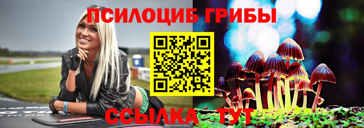 Кострома  Псилоцибиновые грибы мухоморы  Вход с VPN 
