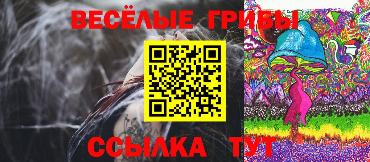 Псилоцибиновые грибы мицелий Кострома